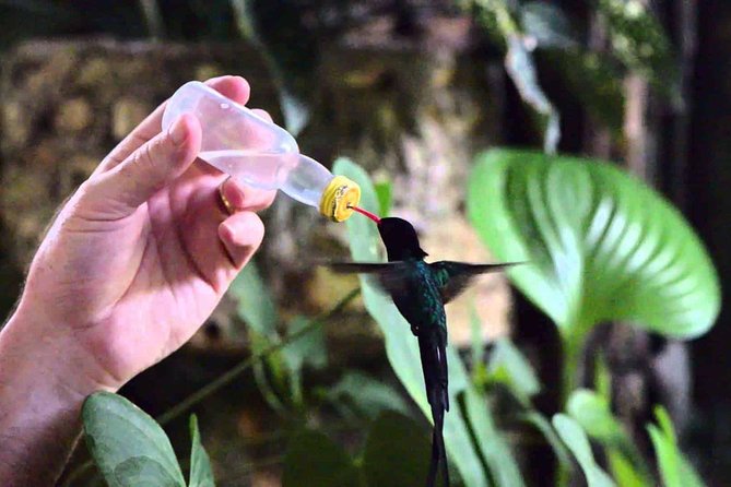 Rockland Bird Sanctuary Private Tour - The value of the $97.44 price