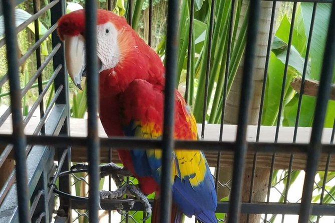 Rockland Bird Sanctuary Private Tour - Weather, timing, and what to plan around