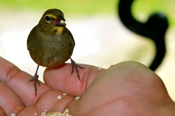 Rockland Bird Sanctuary Tour [Transportation] Hotel Pick-Up - Why Rockland Bird Sanctuary Makes a Good Short Excursion