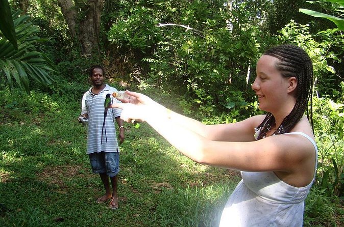 Rockland Bird Sanctuary Tour [Transportation] Hotel Pick-Up - Who Will Enjoy This Experience Most