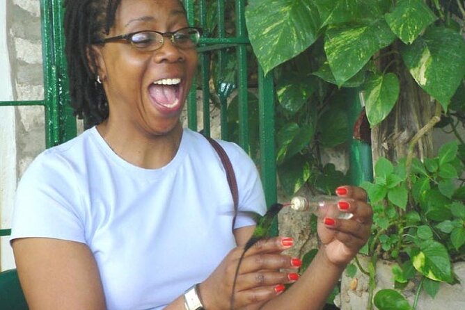 Rocklands Bird Sanctuary & City Highlights plus Shopping from Montego Bay - Five things to know before booking