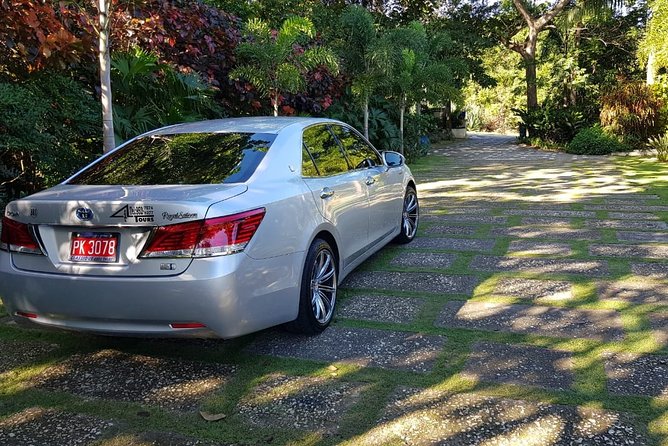 Royalton White Sands & Blue Waters Private Transfer - The return trip and early morning departures