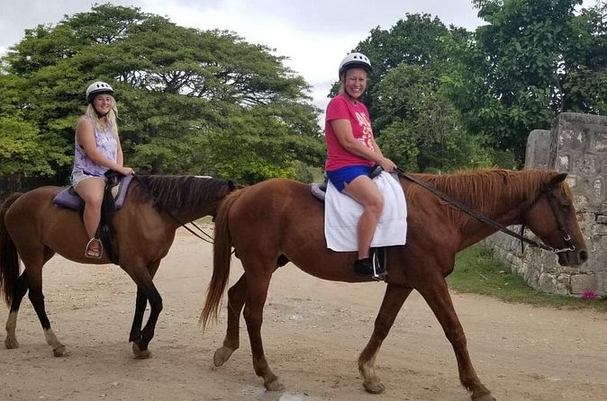 Sand n Saddle Horseback Ride & Swim Tour from Falmouth - Is $220 a fair price?