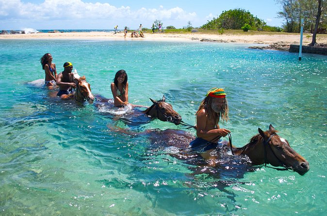 Sand n Saddle Horseback Ride & Swim Tour from Falmouth - Who should book this experience?