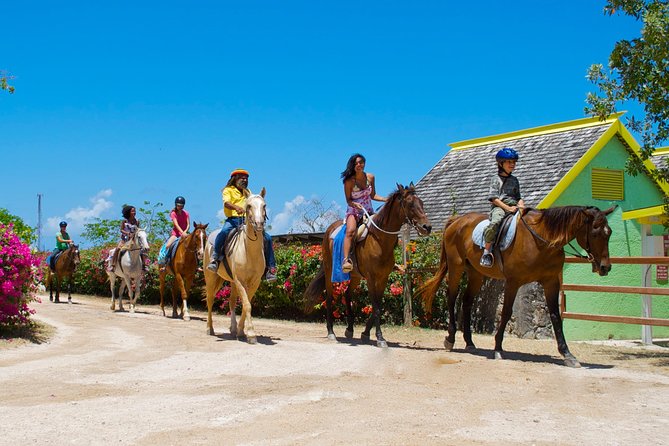 Sand n Saddle Horseback Ride & Swim Tour from Runaway Bay - The Caribbean Sea horse swim