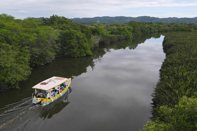 Scenic & Historical Nature Boat Safari Up the Negril River - Key points at a glance