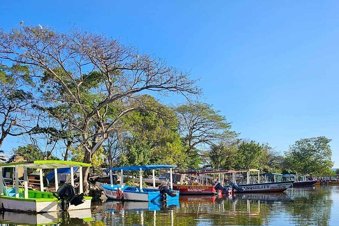 Scenic & Historical Nature Boat Safari Up the Negril River - What the guides add to the boat ride