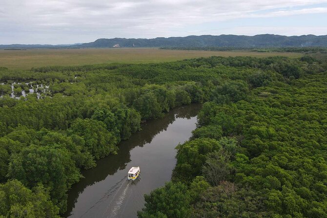 Scenic & Historical Nature Boat Safari Up the Negril River - How the two-hour schedule works for your day