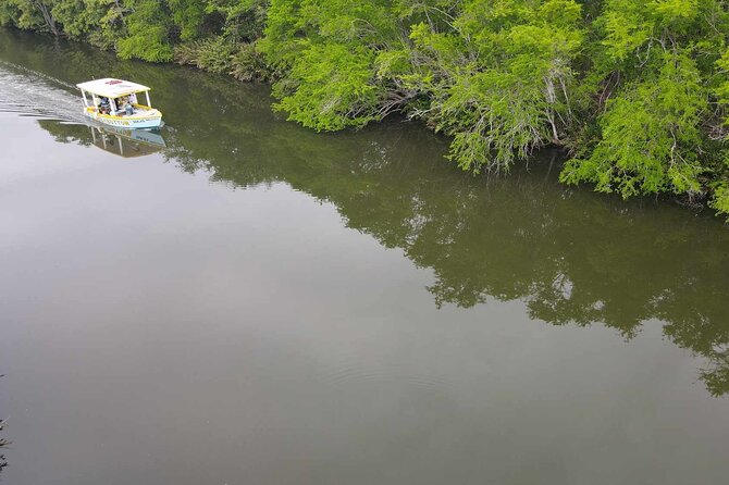 Scenic & Historical Nature Boat Safari Up the Negril River - Is $65 a good value?