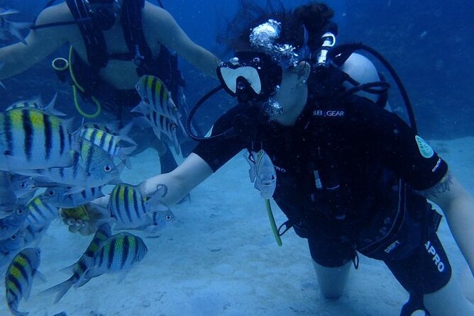Scuba Diving and shopping on the Hipstrip. - The Beach Park Adds Useful Flexibility