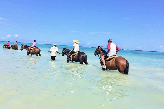 Secret Falls, Blue Hole, and Horseback Riding from Ocho Rios - Swimming at the Blue Hole after recent rain