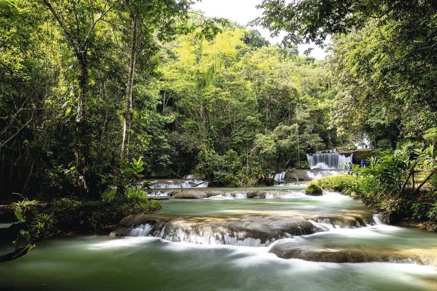 Shared or Private FD Appleton Rum, YS Falls & Pelican Bar - Why this Jamaica day trip is appealing