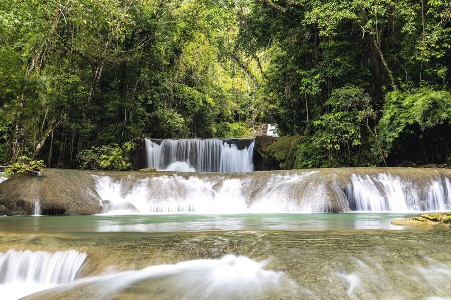 Shared or Private FD Appleton Rum, YS Falls & Pelican Bar - Pickup is the biggest concern