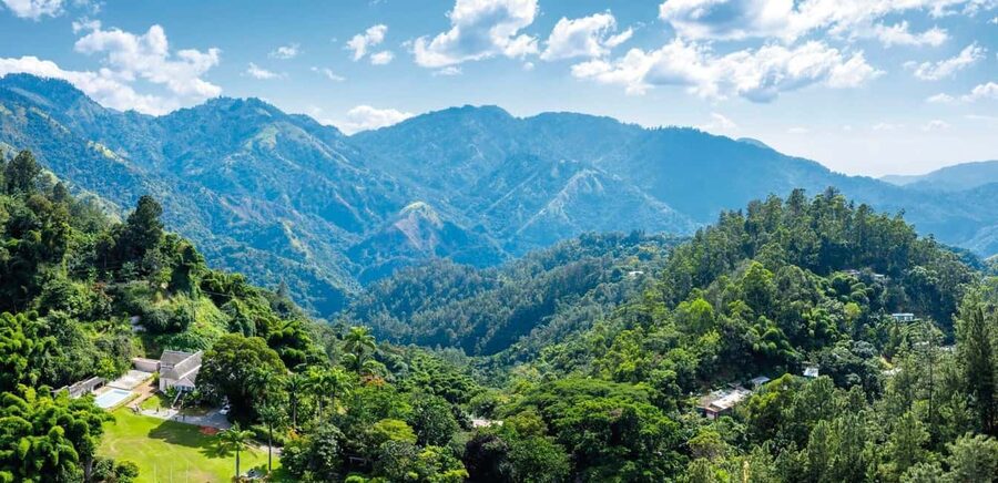 Shared/Private Full Day Blue Mountains Tour -Top Attractions - From Caribbean resort to Blue Mountain road