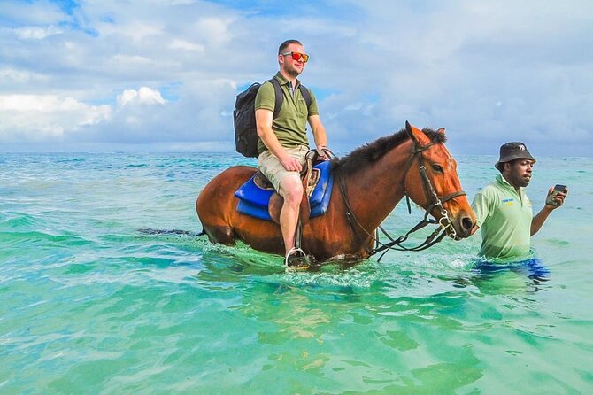 Shared Tour in Ocho Rios with Horseback Riding and Swimming - The jungle trail and Jamaican trees
