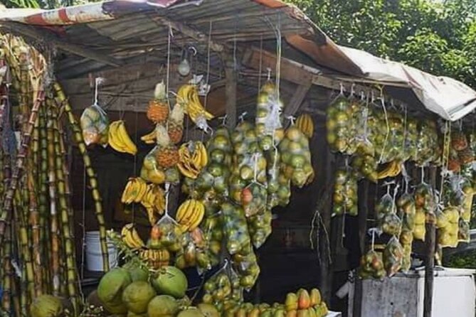 Sightseeing Tour in Ocho Rios - Dunns River Falls brings the famous climb