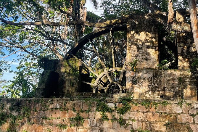 Sightseen tour and Souvenir shopping with private transportation in Montego Bay - Why a private Hip Strip outing can work well