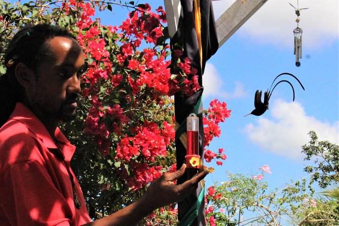 Skip the Line: Ahhh Ras Natango Gallery and Garden Admission Tickets - The gallery, gift shop, and original Jamaican art