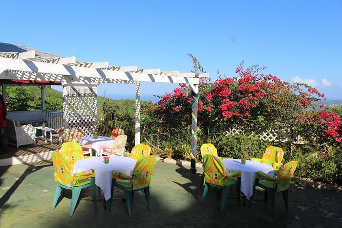 Skip the Line: Ahhh Ras Natango Gallery and Garden Admission Tickets - Meeting Jamaica’s native plants and wildlife