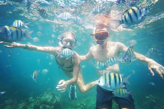 Snorkeling and Shopping in Montego Bay with Hotel pickup - The main concern: pickup dependability