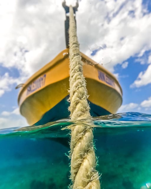 Snorkeling in Montego Bay with Transportation - What to confirm before you leave your hotel