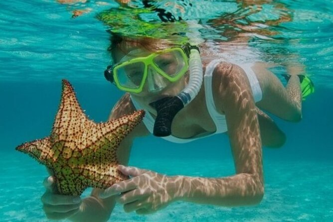 Snorkeling with Margaritaville and shops on Hipstrip activity - Key Details Before You Book