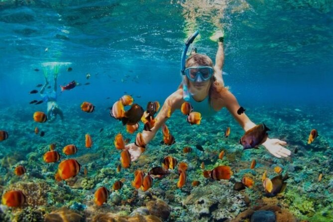 Snorkeling with Margaritaville and shops on Hipstrip activity - Why This Jamaica Excursion Works for a Short Port of Call