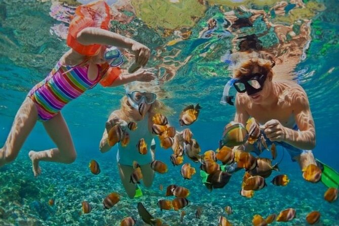 Snorkeling with Margaritaville and shops on Hipstrip activity - Boarding the Boat Near Doc Cove Beach