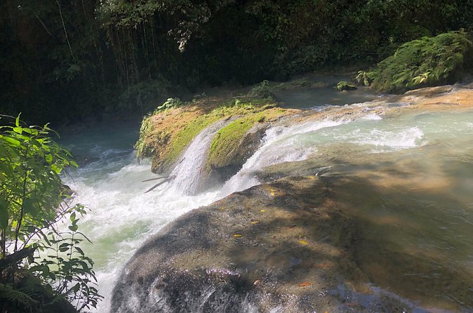 South Coast Jamaica YS Falls Tour - How the private format affects the price