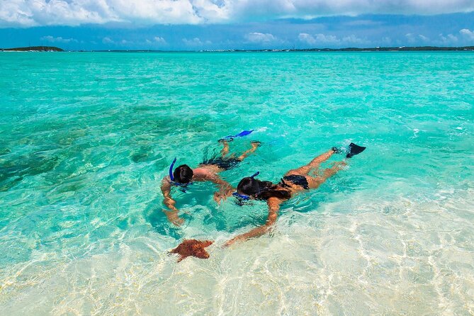 Sunset Catamaran cruise, Snorkeling and Rick's Cafe from Mobay - One hour at Seven Mile Beach
