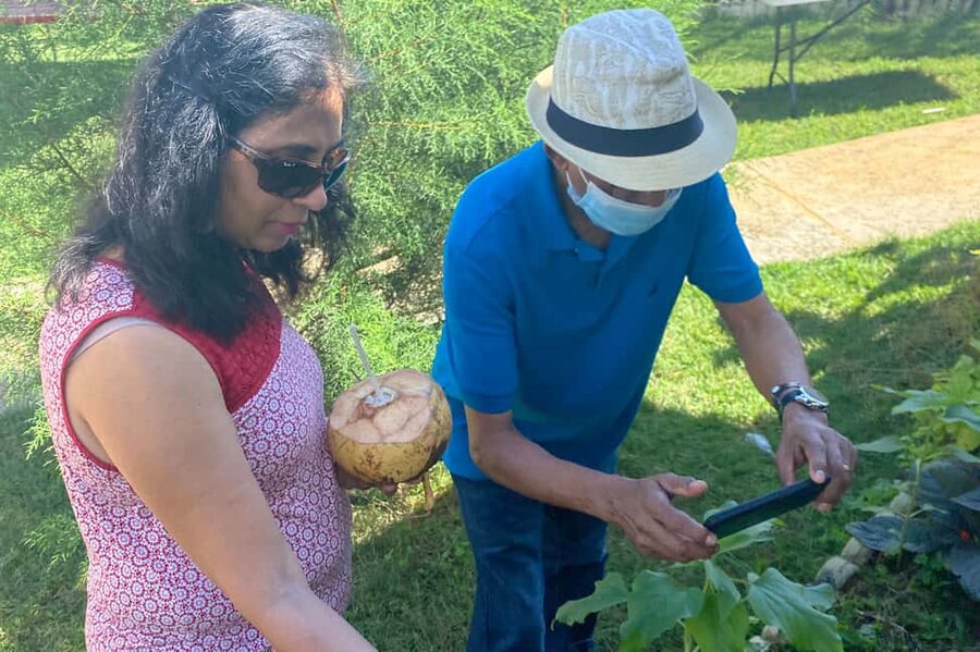 Taste of Jamaica Farm & Food Tour - Who will enjoy this tour most