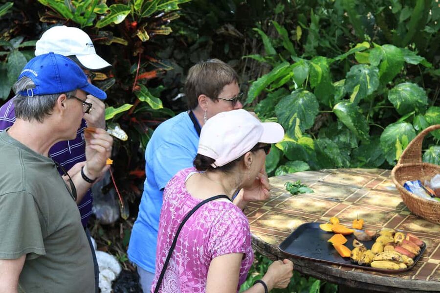 Taste of Jamaica Farm & Food Tour - A rural side of Jamaica near Ocho Rios
