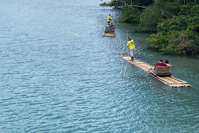 The Best of Port Antonio Day-Trip from Ocho Rios - Who should book this Port Antonio trip?