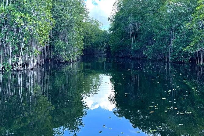 Tour to Black River and YS Falls - Floyd’s Pelican Bar: an offshore finish with a ten-minute boat ride
