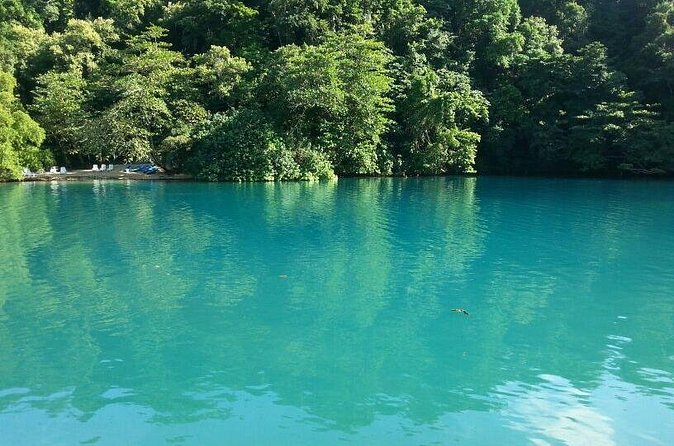 Tour to Fern Gully and Konoko Falls and Park - Practical tips before you go