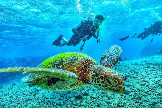 Two Tank Dive in Montego Bay w/Certified Divers - Getting equipped for two tanks