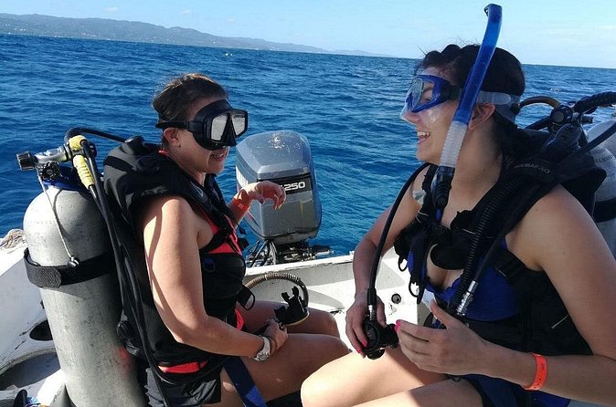 Two Tank Dive in Montego Bay w/Certified Divers - What you may see below the surface