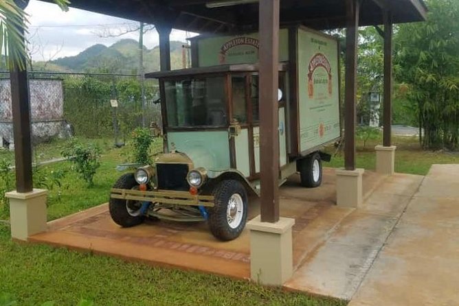 YS Falls and Appleton Estate Private Rum Tour - Appleton Estate: sugar cane, rum, and tasting samples