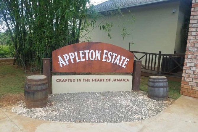 YS Falls and Appleton Estate Private Rum Tour - The road from Montego Bay to Jamaica’s South Coast
