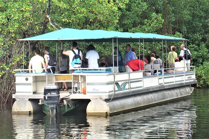 YS Falls and Black River Safari Guided Tour from Montego Bay and Grand Palladium - Arriving at YS Falls in St. Elizabeth Parish