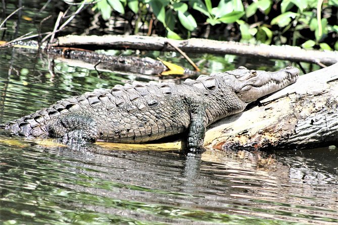 YS Falls and Black River Safari Guided Tour from Montego Bay and Grand Palladium - What makes YS Falls worth the stop