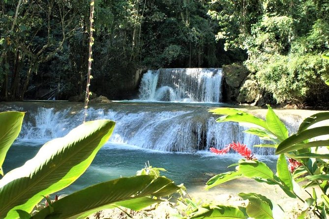 YS Falls and Black River Safari Guided Tour from Montego Bay and Grand Palladium - How the two stops fit together