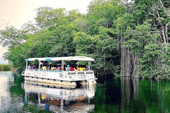 YS Falls and Black River Safari South Coast from Negril Jamaica - Who should choose this excursion