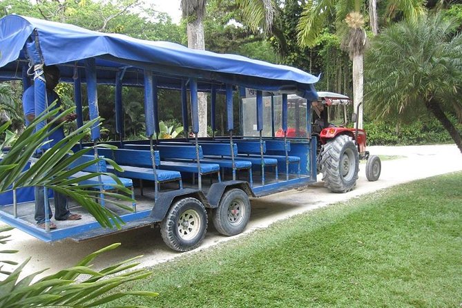 YS Falls and The Pelican Bar Adventure Tour from Negril - Why this south coast pairing works
