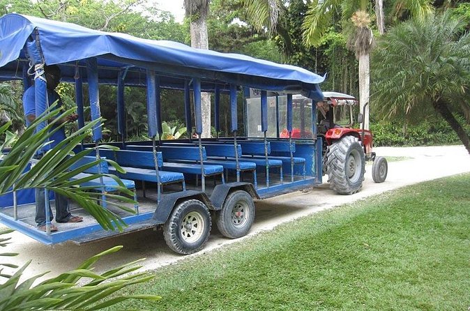 YS Falls and The Pelican Bar Adventure Tour from Negril - A guide can shape the whole day