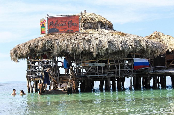 YS Falls, Black River Safari, and Floyd's Pelican Bar Day-Trip (Transportation) - Who Will Enjoy This Experience Most
