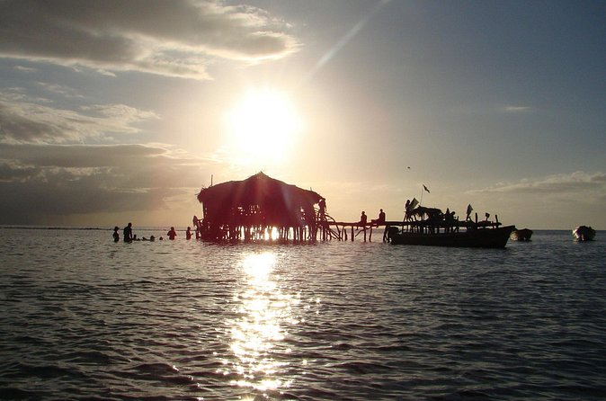 YS Falls, Black River Safari, and Floyd's Pelican Bar Day-Trip (Transportation) - Should You Book This Jamaica Day Trip?