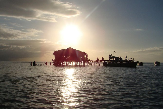 YS Falls, Black River Safari, and Floyd's Pelican Bar Day-Trip (Transportation) - Black River Safari: A Slow Hour Among Wetlands