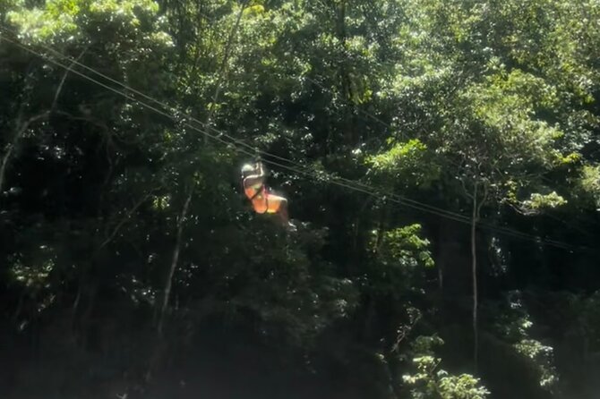 YS Falls, Black River Safari, Appleton Rum Tour OR Pelican Bar (Choose Up to 3) - Appleton Estate: Jamaica’s rum story in the Nassau Valley