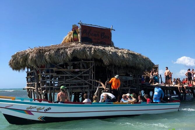 YS Falls, Black River Safari, Appleton Rum Tour OR Pelican Bar (Choose Up to 3) - The guide can make or break the long drives